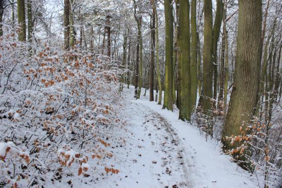 Trasy rowerowe w Trójmiejskim Parku Krajobrazowym